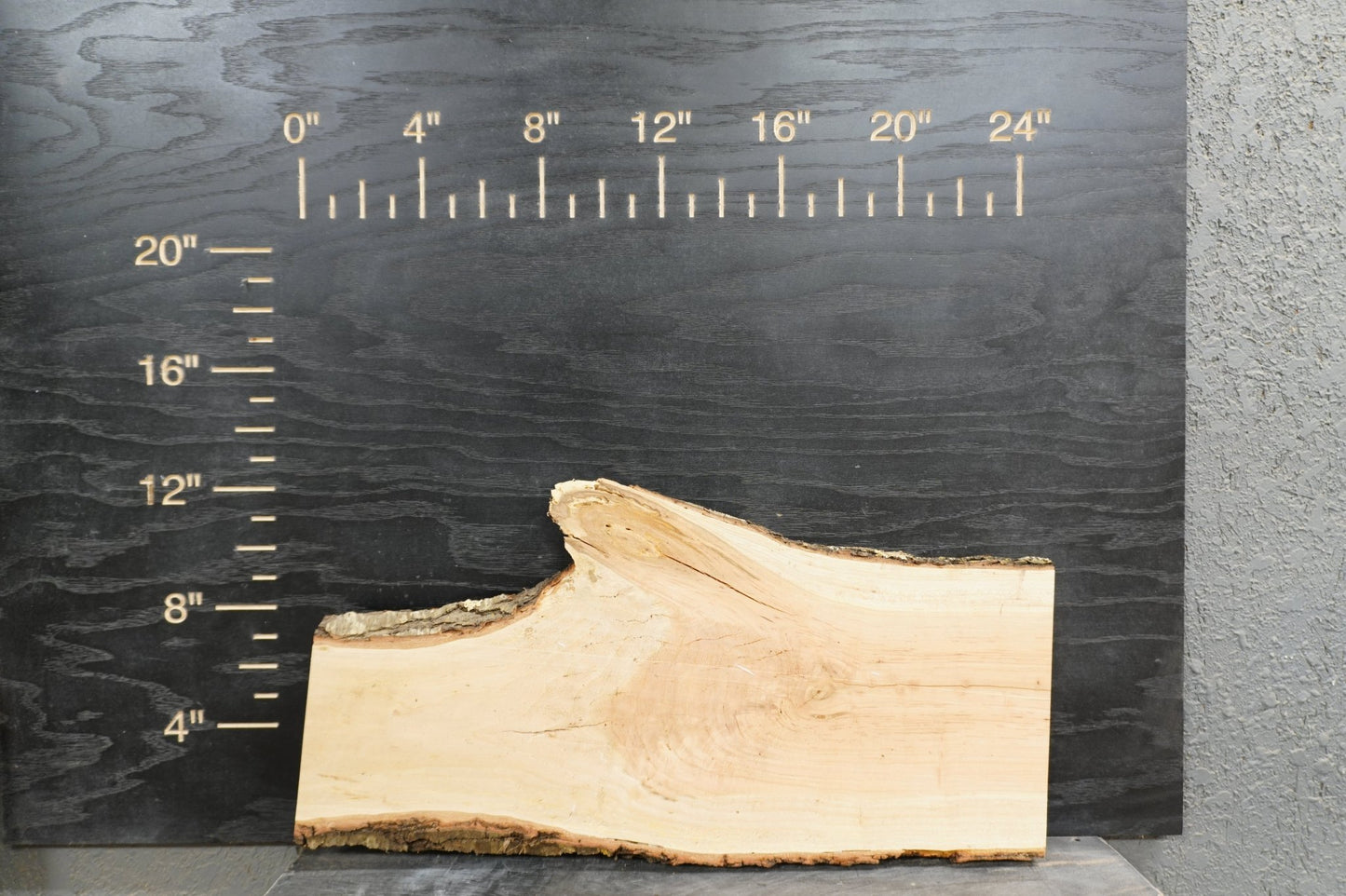 24" Walnut, Cherry, Elm, Maple, Cedar, Boxelder Wood Kit Live - Edge - Ol Loggin Sawmill