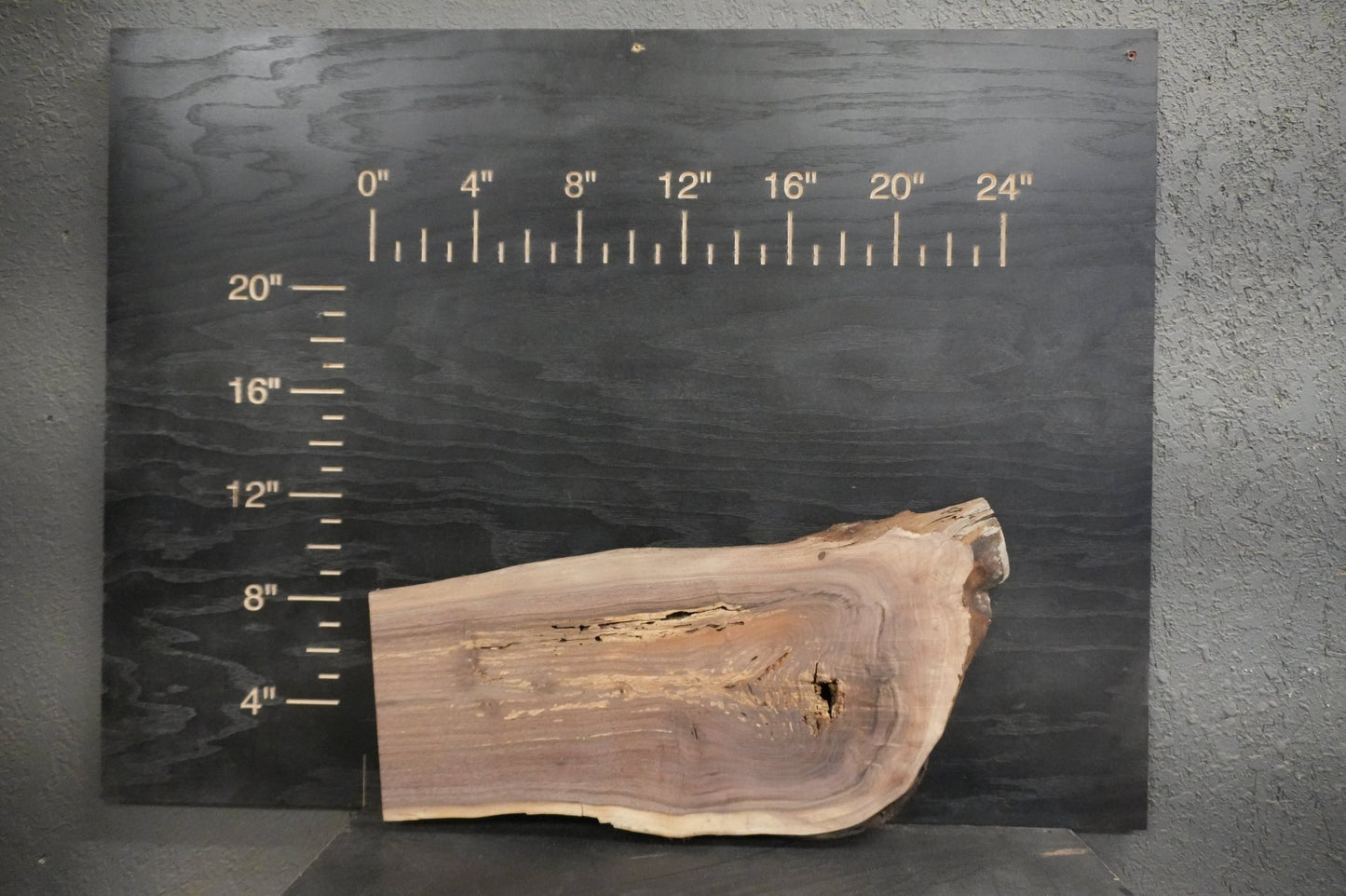 24" Walnut & Elm Dimensional Wood Kit Live - Edge - Ol Loggin Sawmill