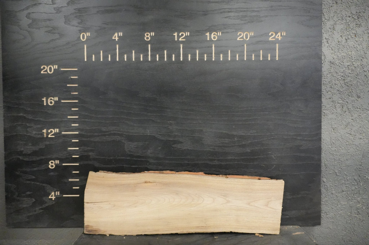24" Walnut & Elm Dimensional Wood Kit Live - Edge - Ol Loggin Sawmill