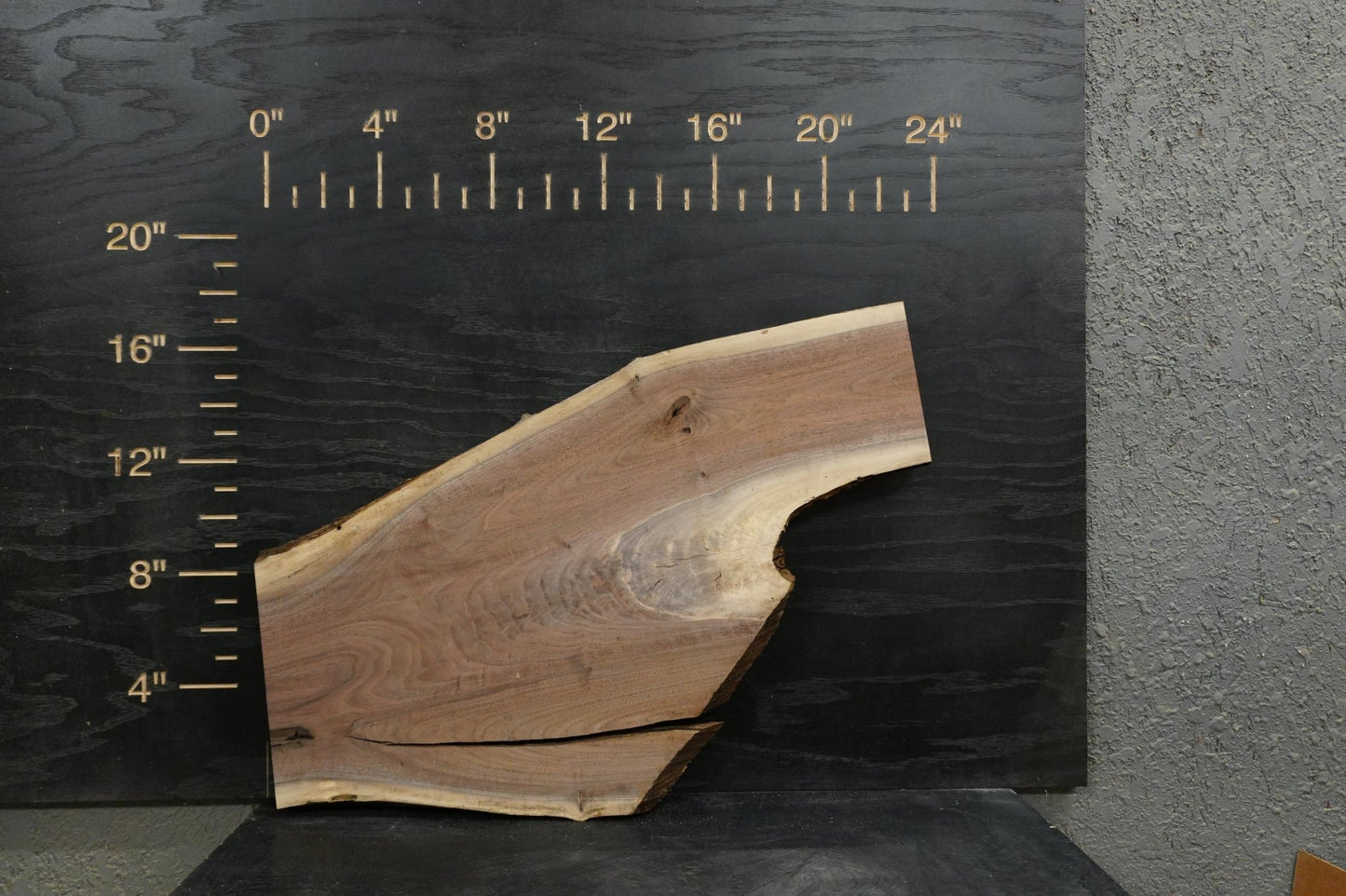 24 - " Walnut Large Piece Wood Kit Live - Edge - Ol Loggin Sawmill