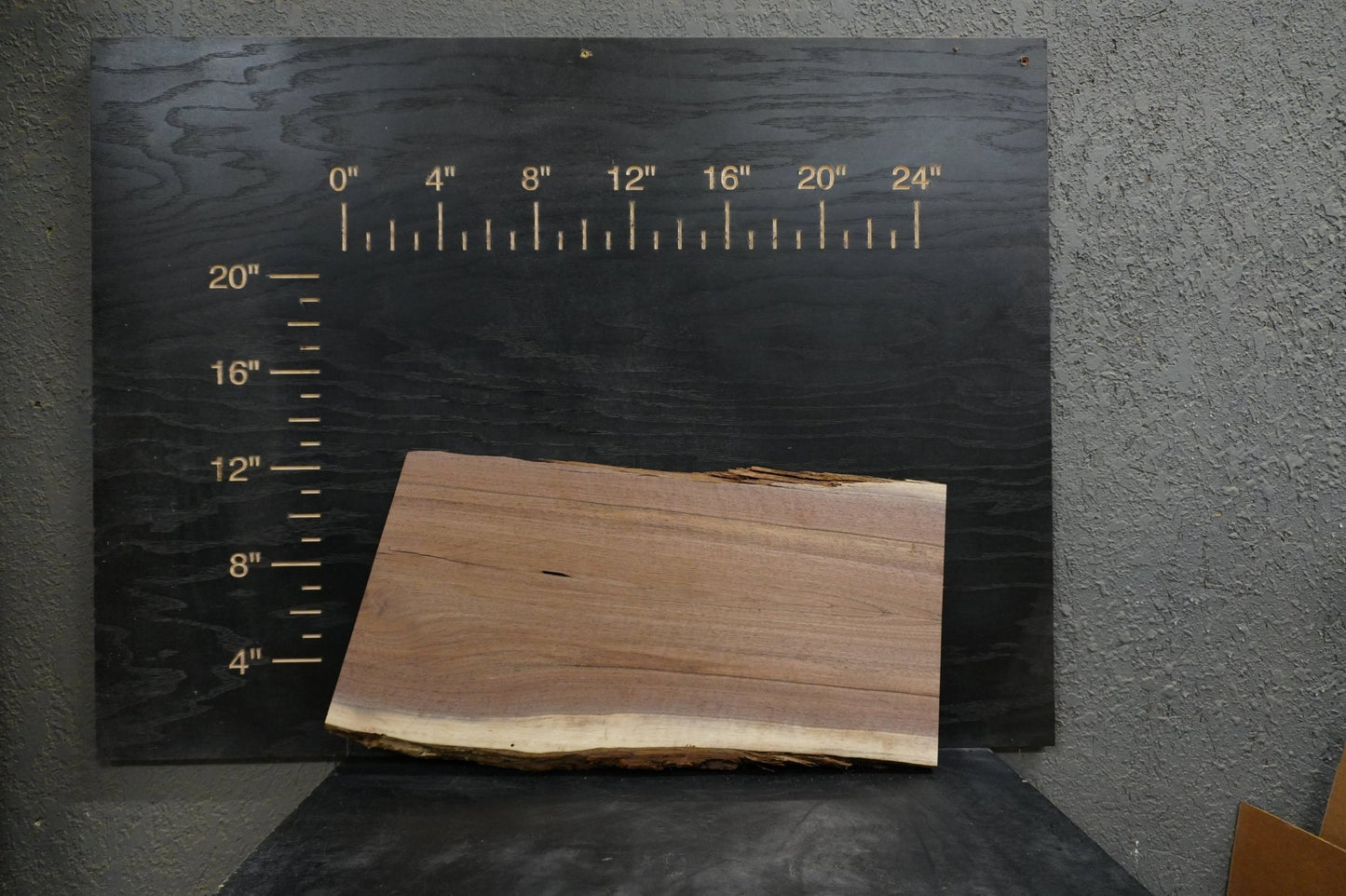 24 - " Walnut Large Piece Wood Kit Live - Edge - Ol Loggin Sawmill