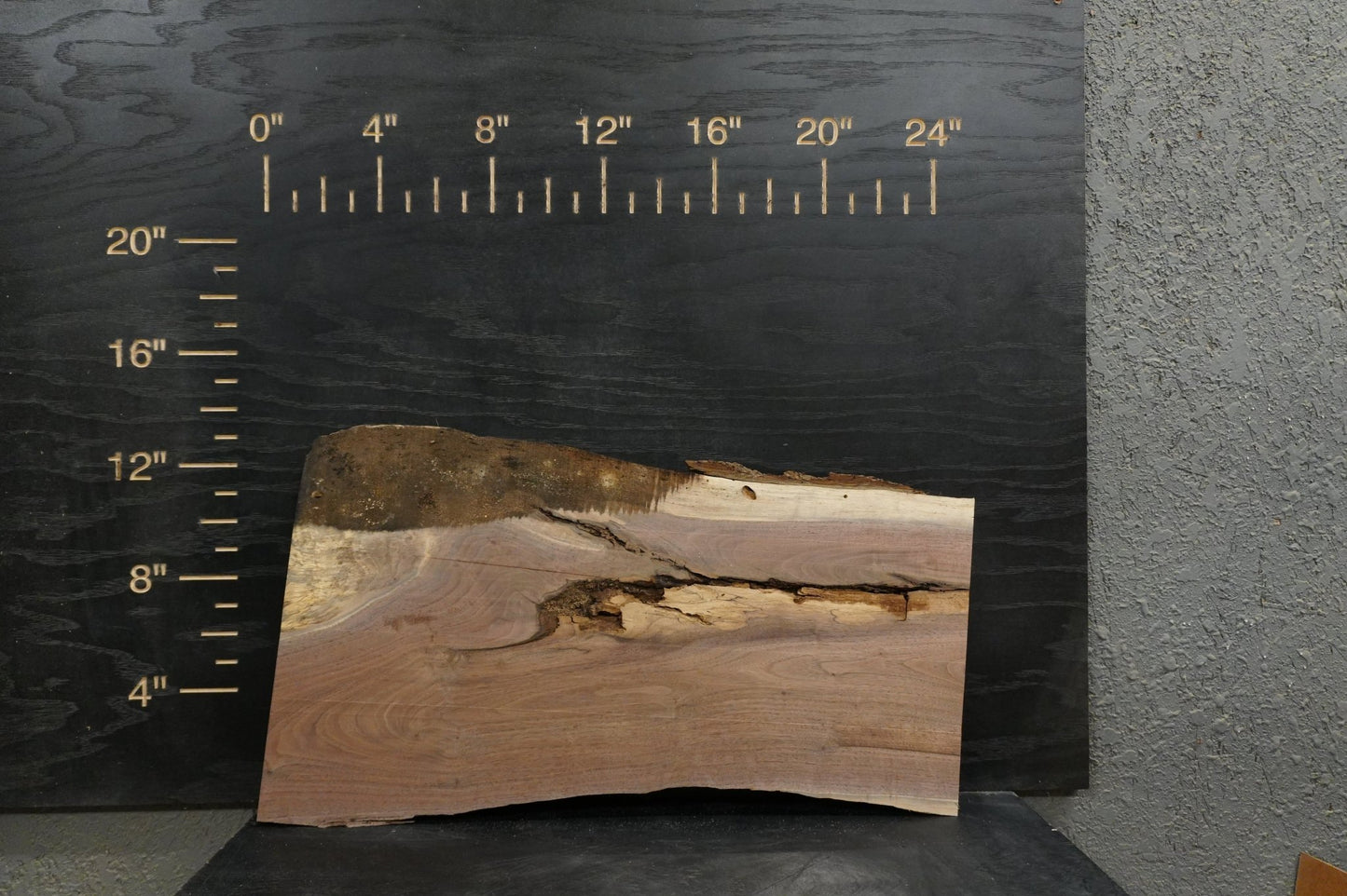 24 - " Walnut Large Piece Wood Kit Live - Edge - Ol Loggin Sawmill