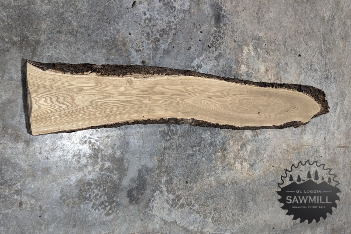 Elm Live Edge Wood Slab - 36BF - My Store