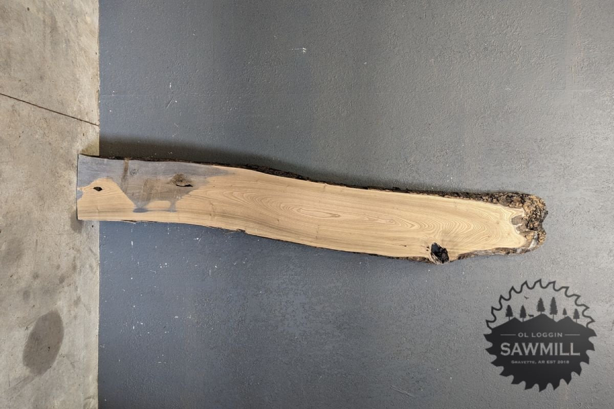 Elm Live Edge Wood Slab - 40.2BF - My Store