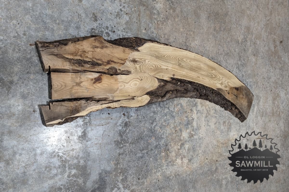 Elm Live Edge Wood Slab - 51BF - My Store