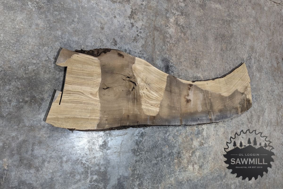 Elm Live Edge Wood Slab - 60BF - My Store