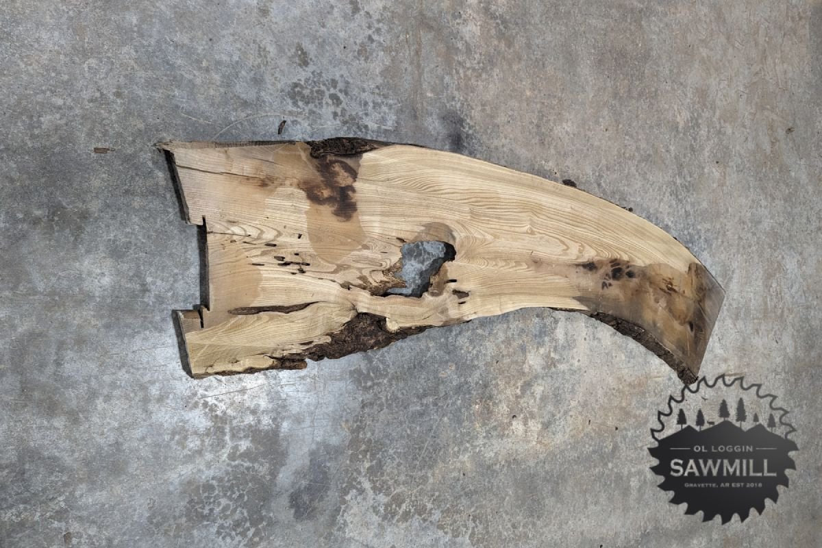 Elm Live Edge Wood Slab - 60BF - My Store