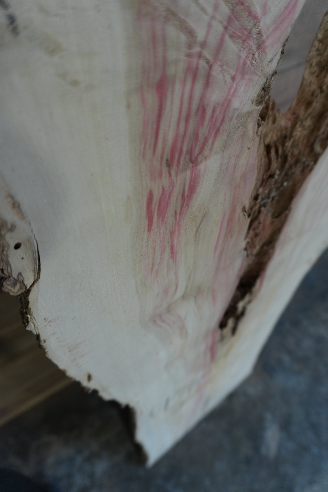 Flaming Box Elder - Ol Loggin Sawmill