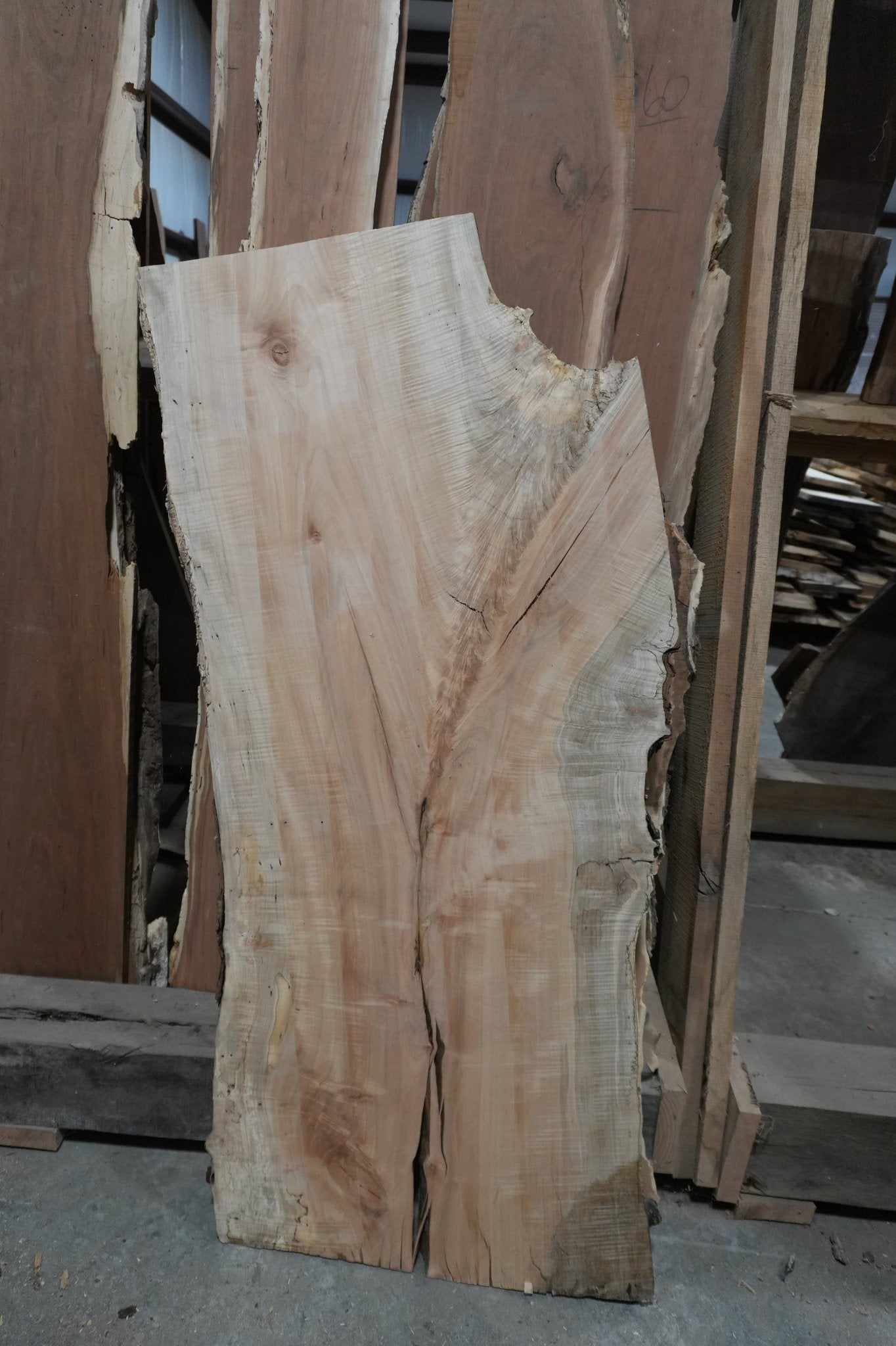 Maple Slab 16 BF - Ol Loggin Sawmill