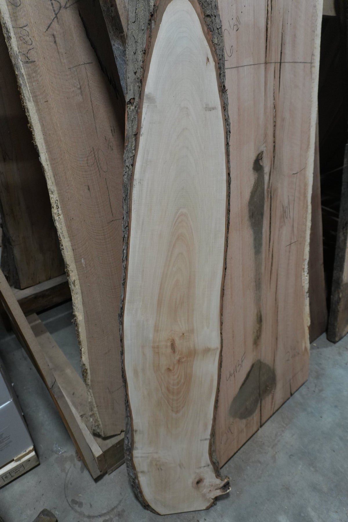 Maple Slab - Ol Loggin Sawmill