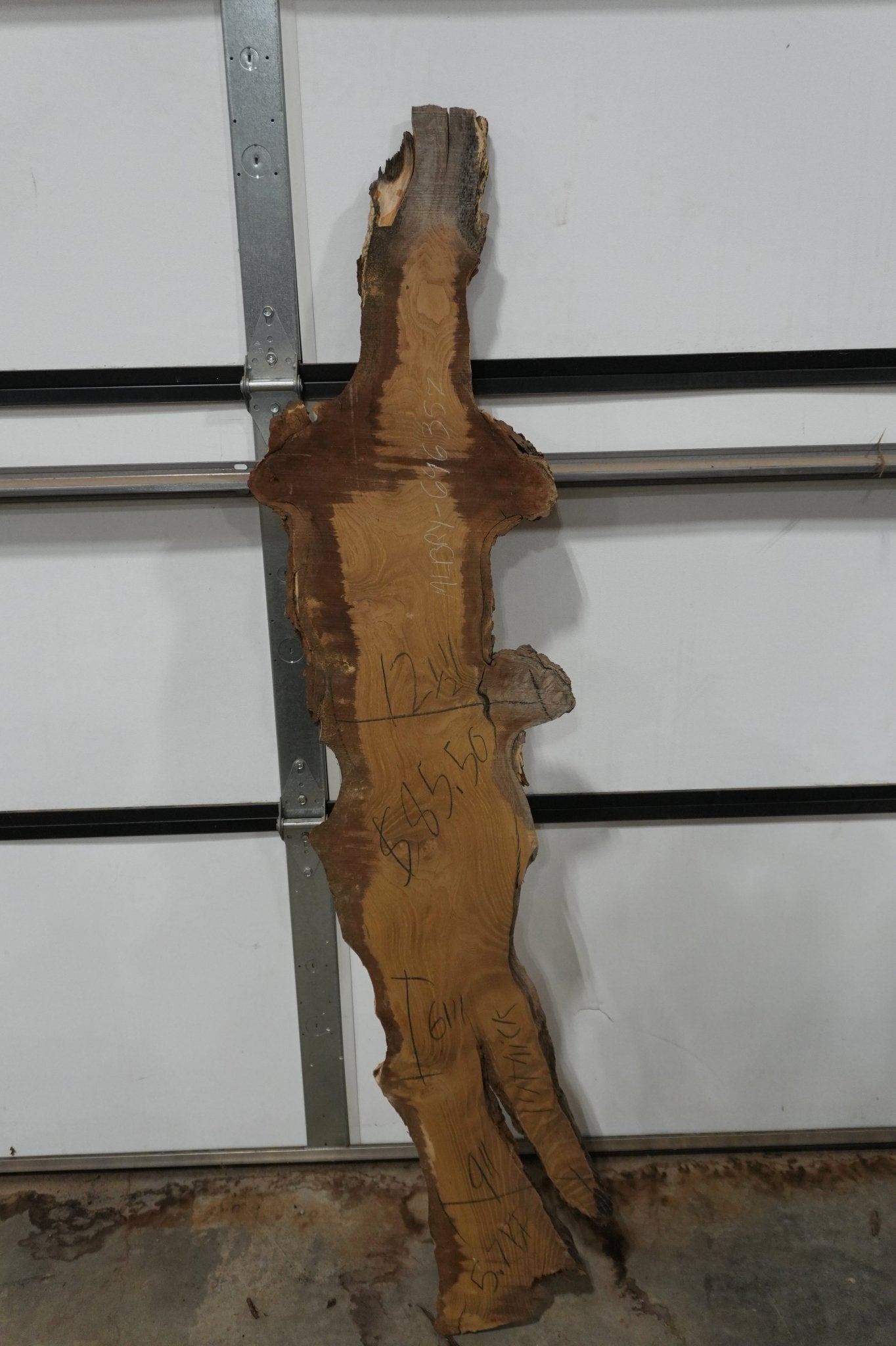 Mulberry Burl Live Edge Wood Slab - Ol Loggin Sawmill