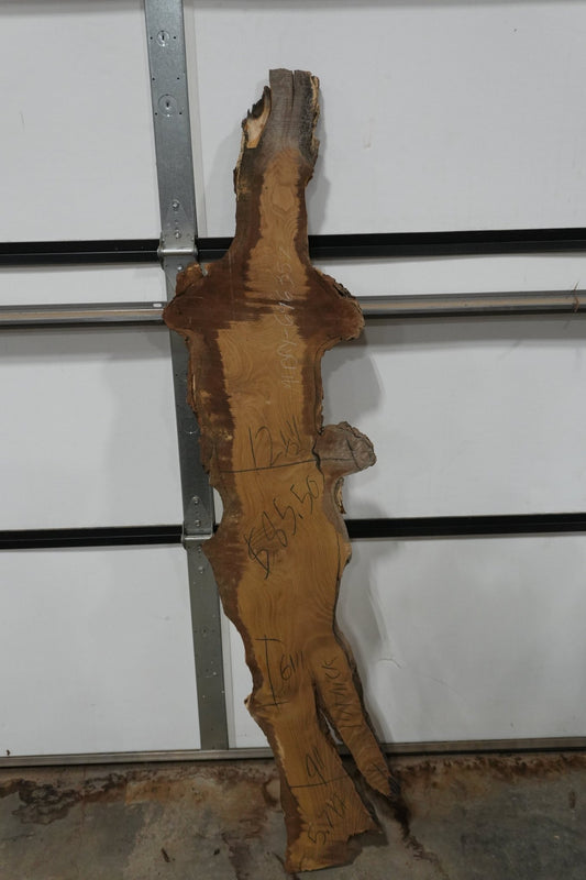 Mulberry Burl Live Edge Wood Slab - Ol Loggin Sawmill
