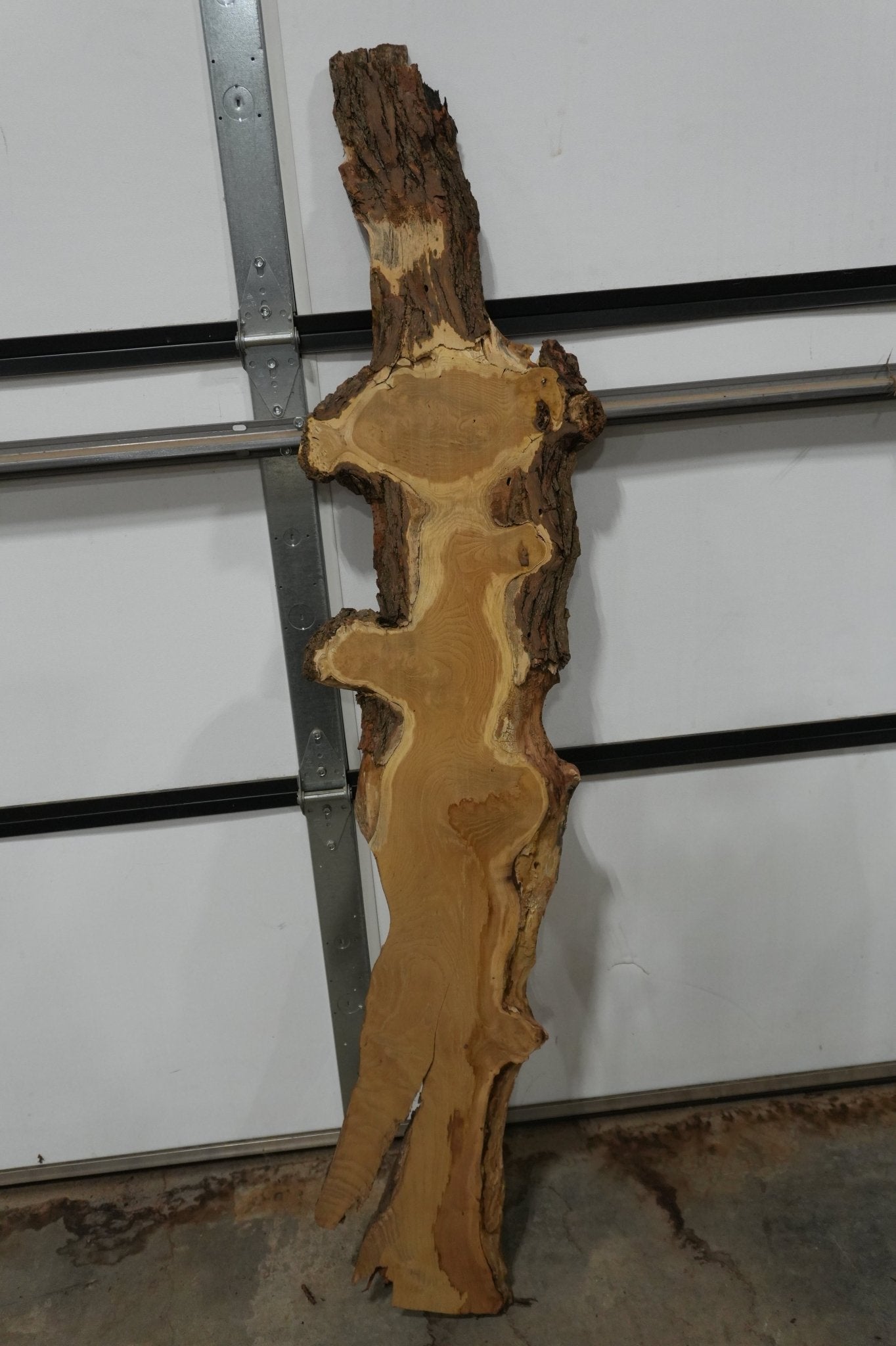 Mulberry Burl Live Edge Wood Slab - Ol Loggin Sawmill