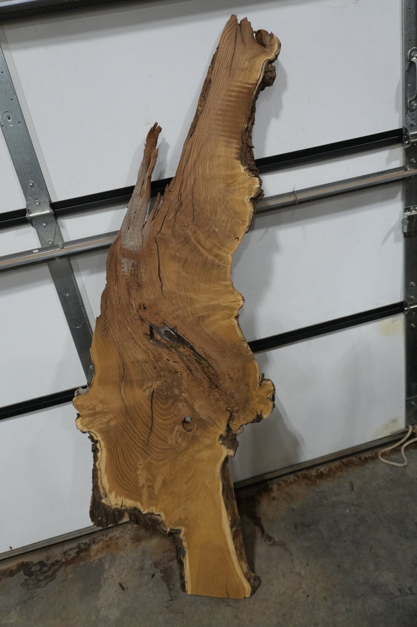 Mulberry Burl Live Edge Wood Slab - Ol Loggin Sawmill