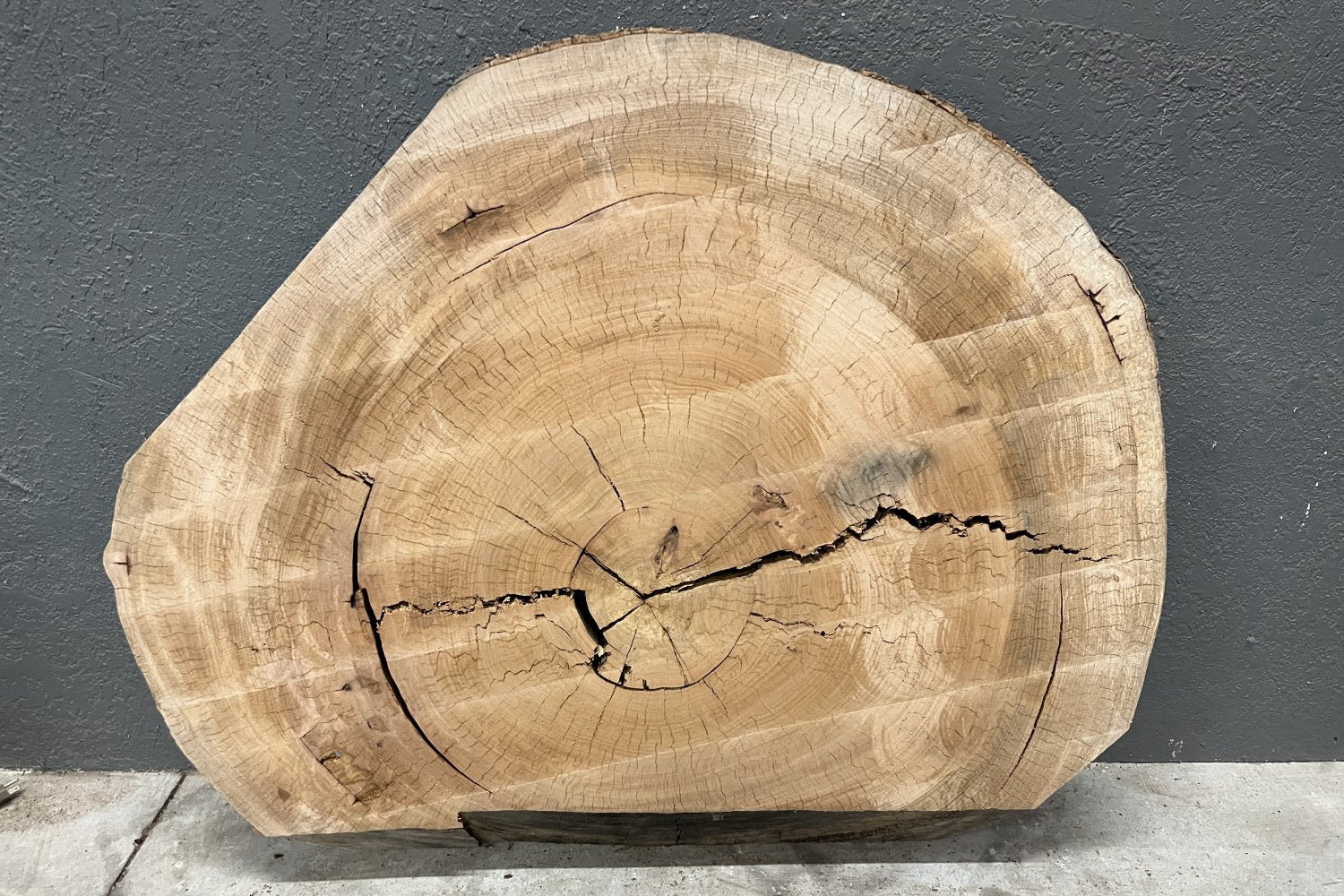 Pecan Wood Slab Cookie - 41.9 BF - My Store