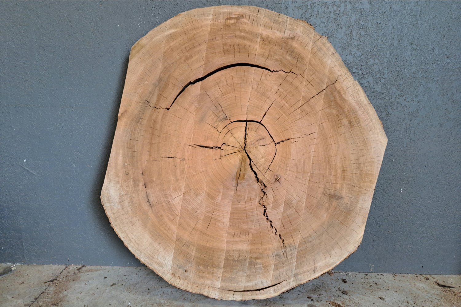 Pecan Wood Slab Cookie - 44.5 BF - My Store