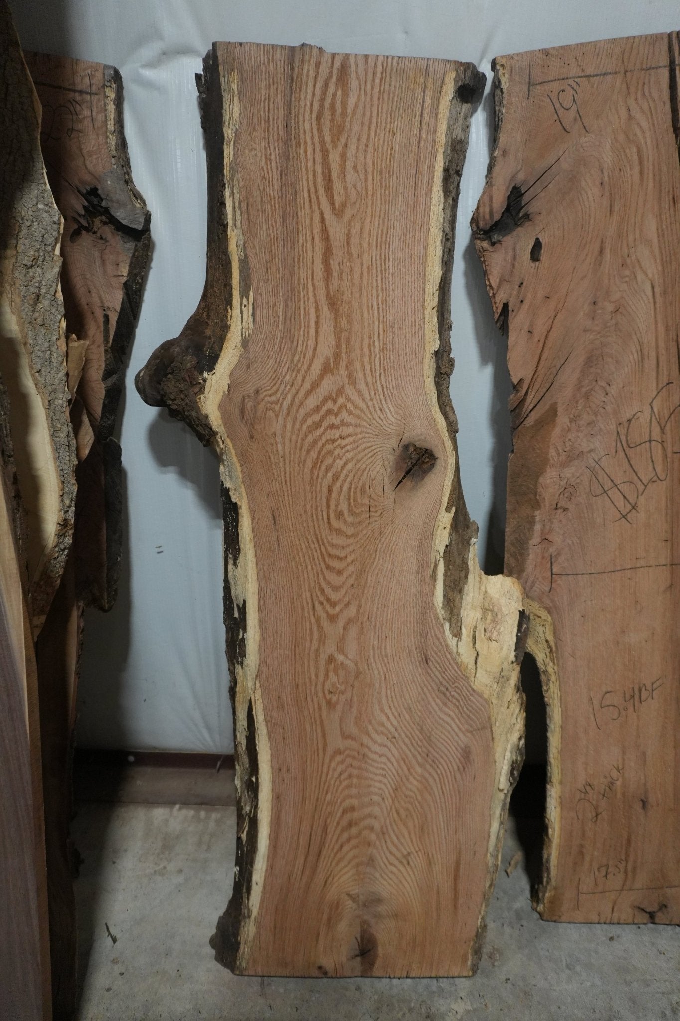 Red Oak Slab - Ol Loggin Sawmill