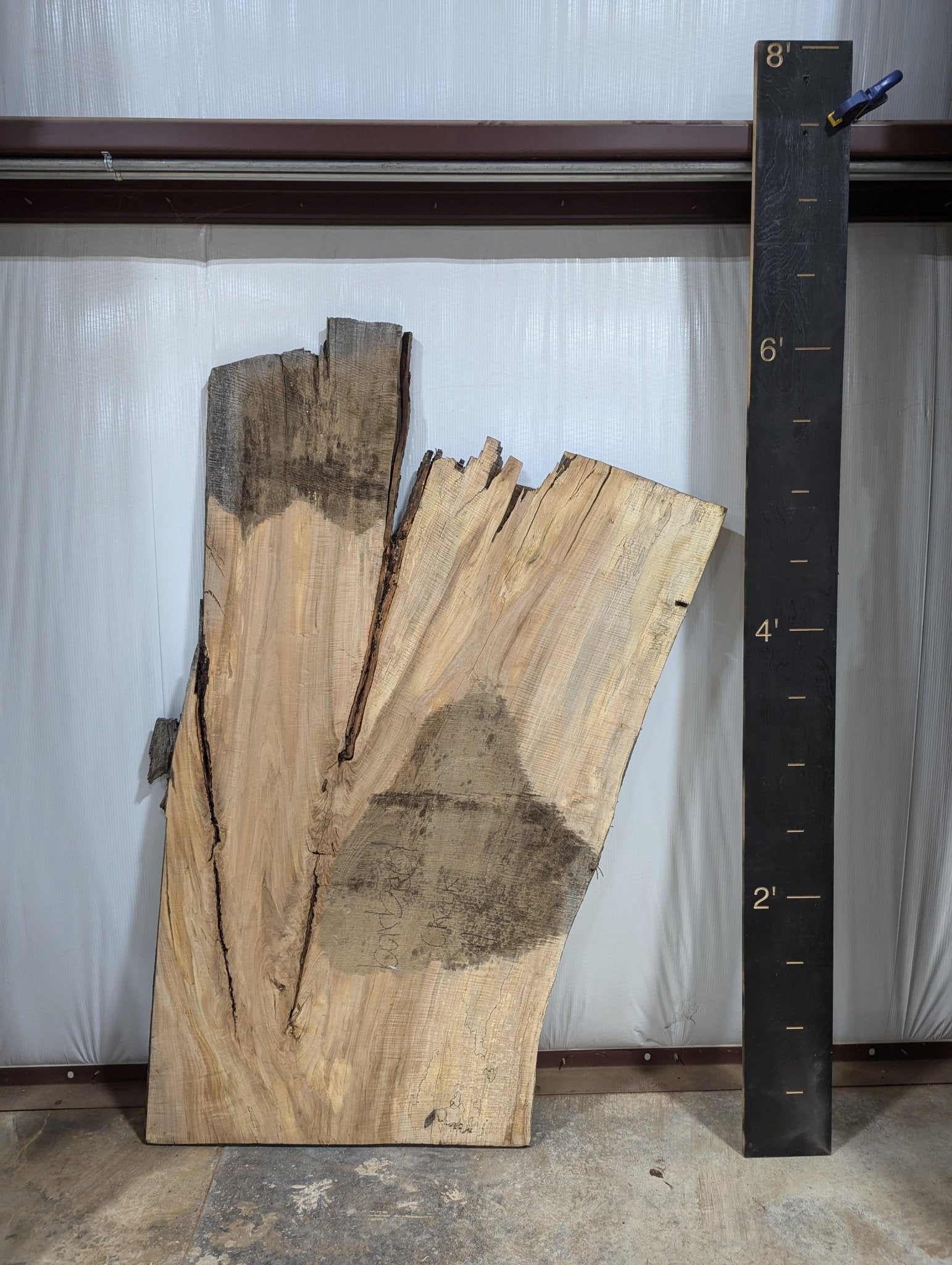 Spalted Maple Live Edge Wood Slab - 53 BF - Ol Loggin Sawmill