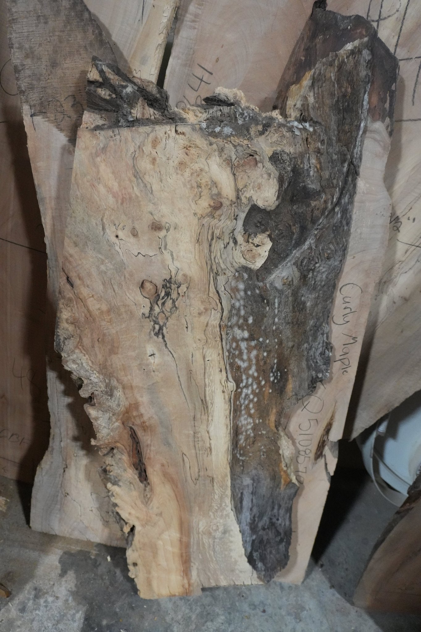 Spalted Maple Slab - Ol Loggin Sawmill