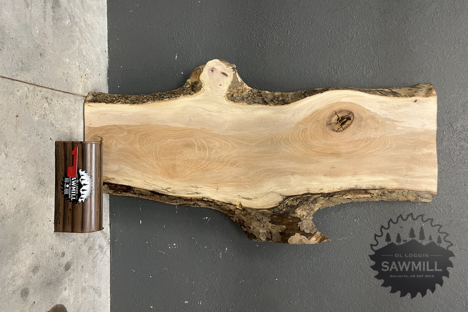 Sycamore Live Edge Wood Slab - 48.8 BF - My Store
