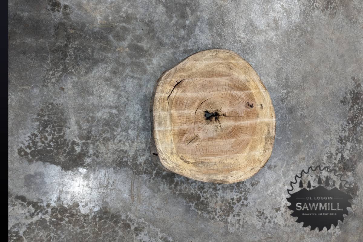 Sycamore Wood Slab Cookie - 31.6BF - My Store