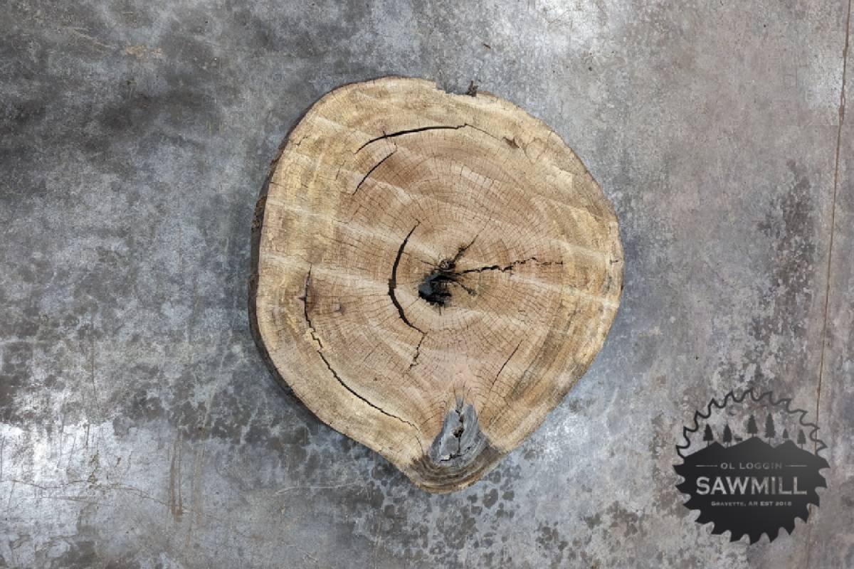 Sycamore Wood Slab Cookie 31.6BF - My Store