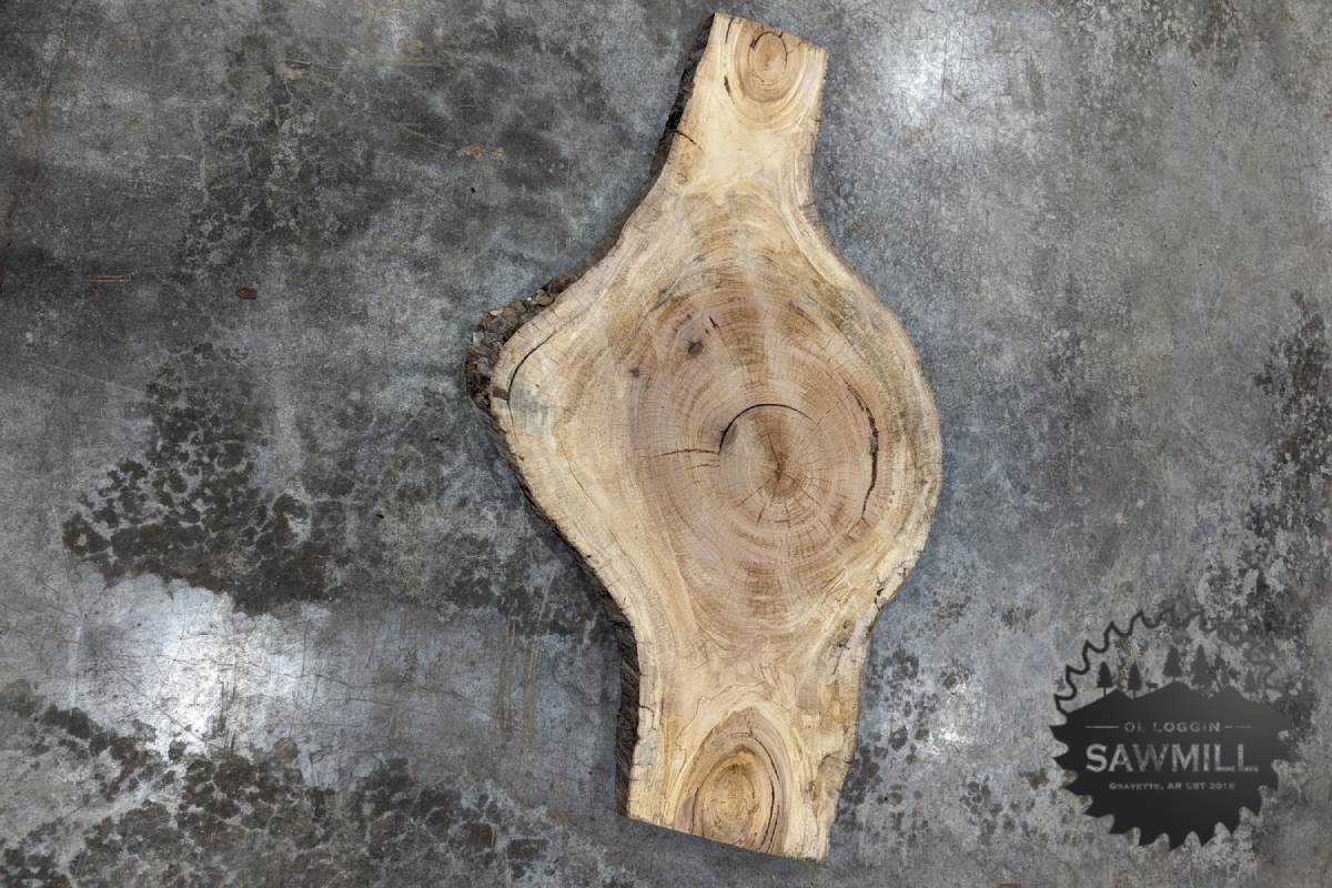 Sycamore Wood Slab Cookie - 45BF - My Store