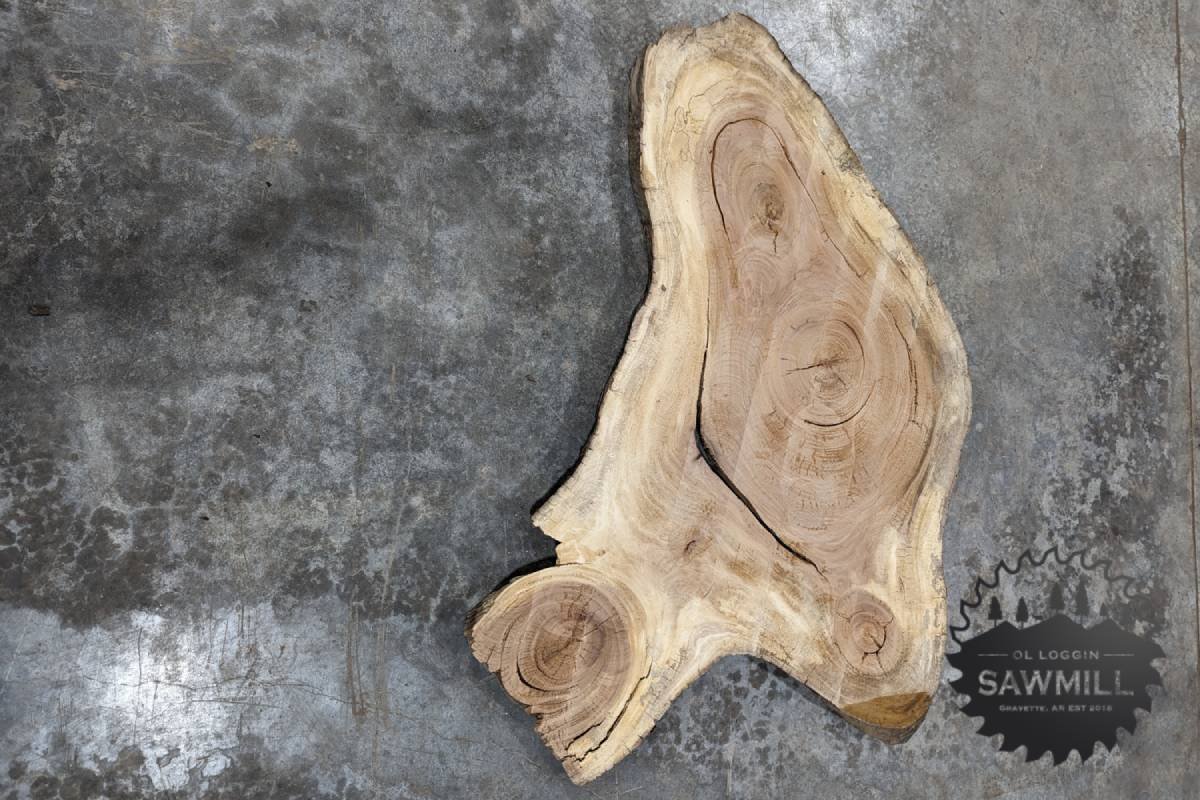 Sycamore Wood Slab Cookie - 48BF - My Store