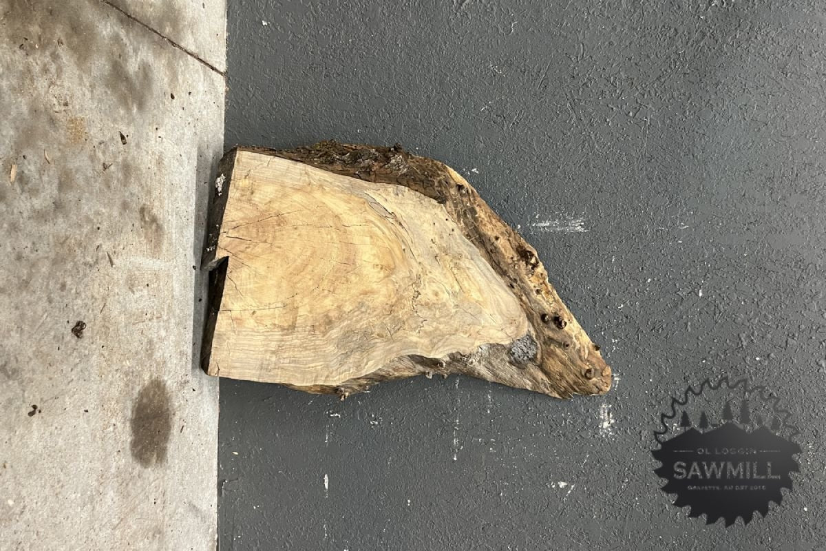 Sycamore Wood Slab Cookie - 8.3BF - My Store