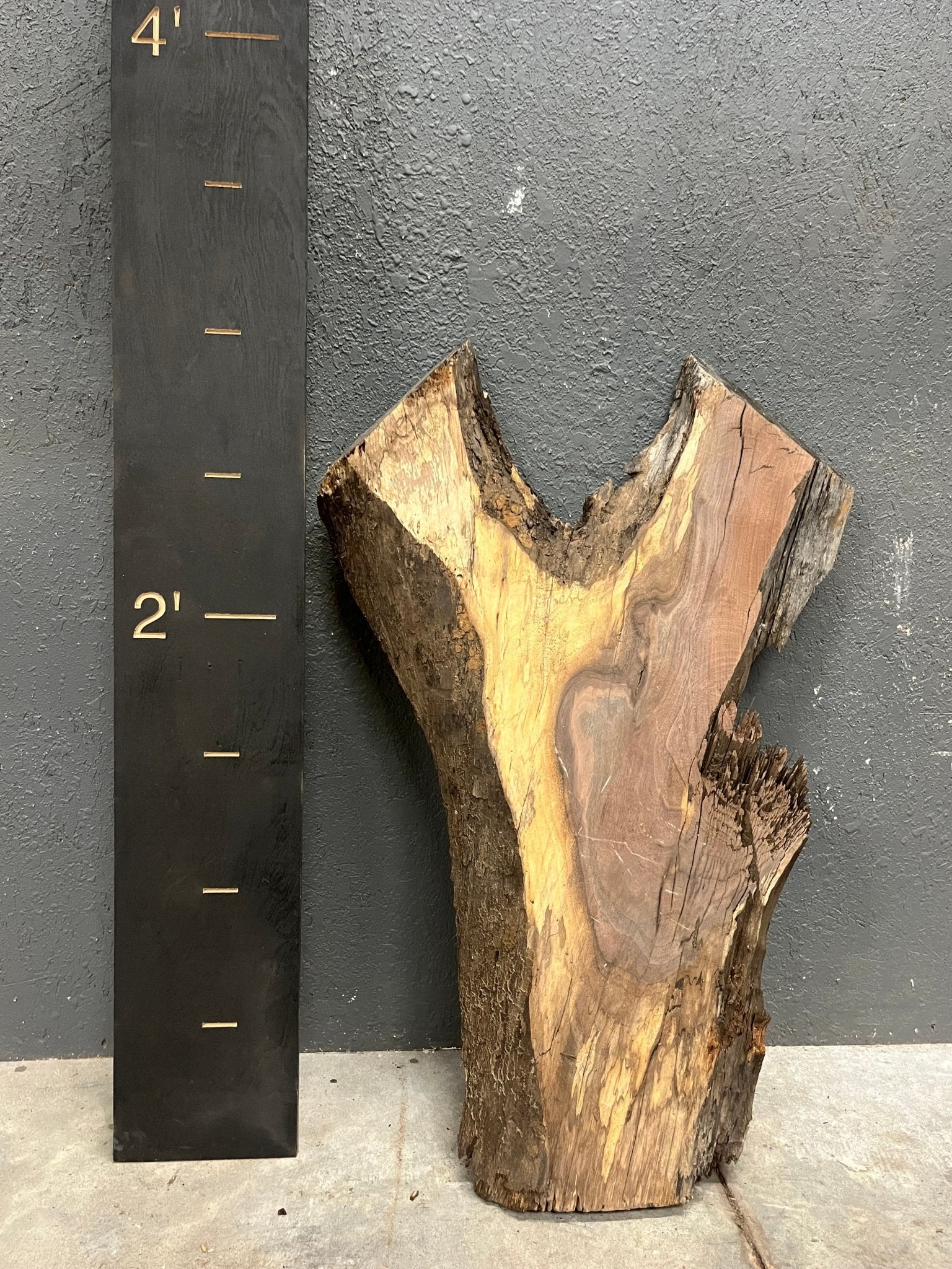 Walnut Live Edge Wood Slab 12BF - Ol Loggin Sawmill