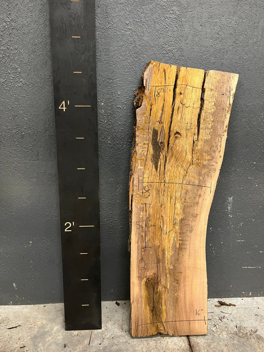 Walnut Live Edge Wood Slab 13 BF - Ol Loggin Sawmill