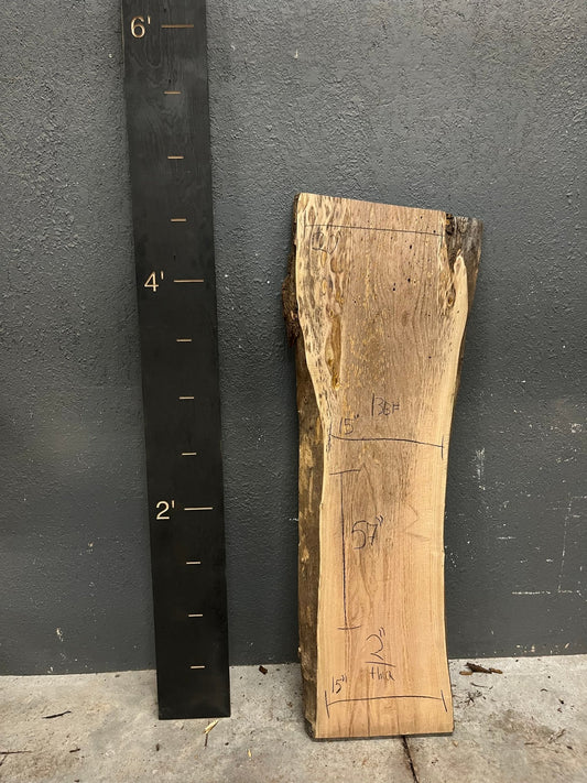 Walnut Live Edge Wood Slab 13BF - Ol Loggin Sawmill