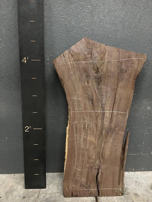 Walnut Live Edge Wood Slab 21BF - Ol Loggin Sawmill