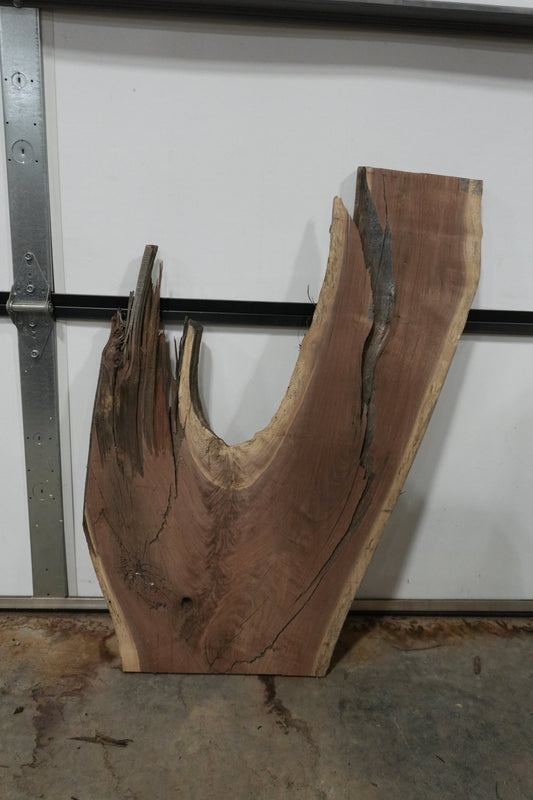 Walnut Live Edge Wood Slab - Ol Loggin Sawmill