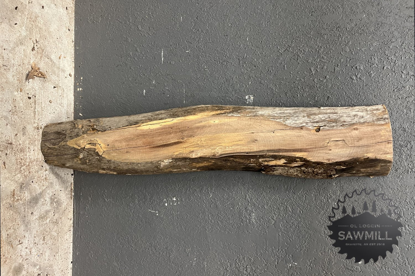 Walnut Live Edge Wood Slab - 8.9 BF - My Store