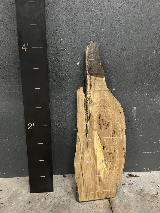 Walnut Live Edge Wood Slab - Ol Loggin Sawmill