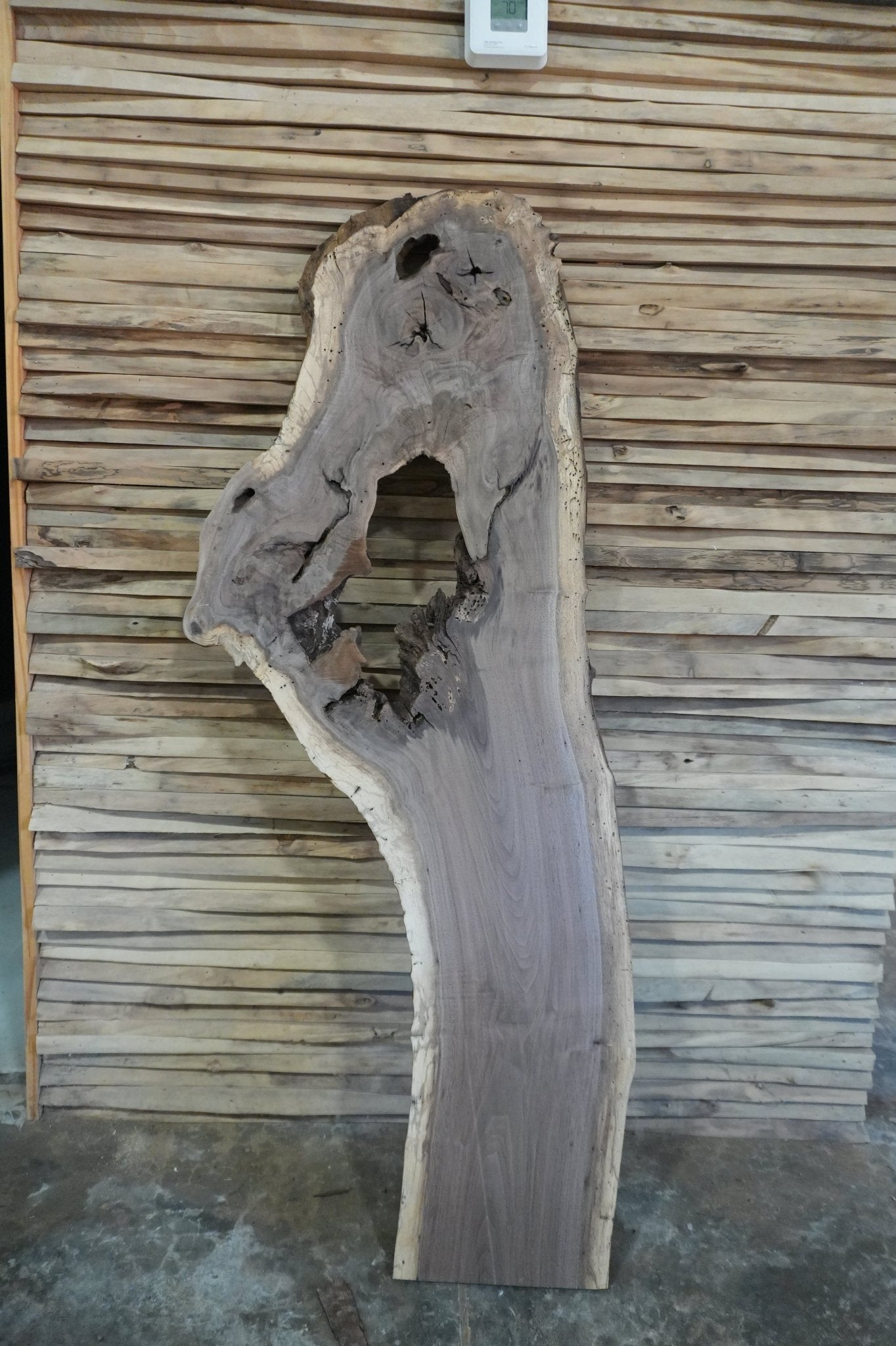 Walnut Slab - Ol Loggin Sawmill