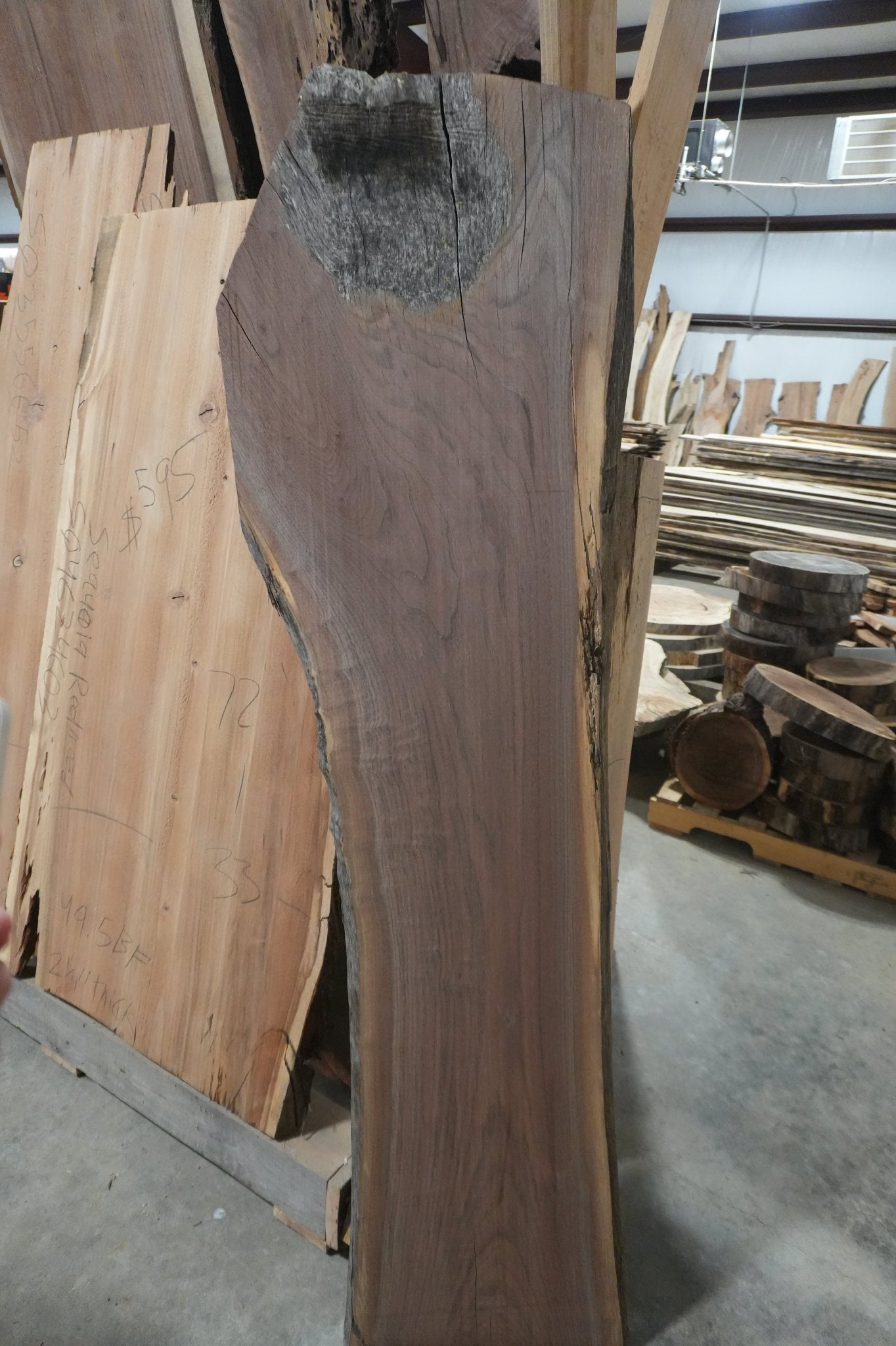 Walnut Slab - Ol Loggin Sawmill