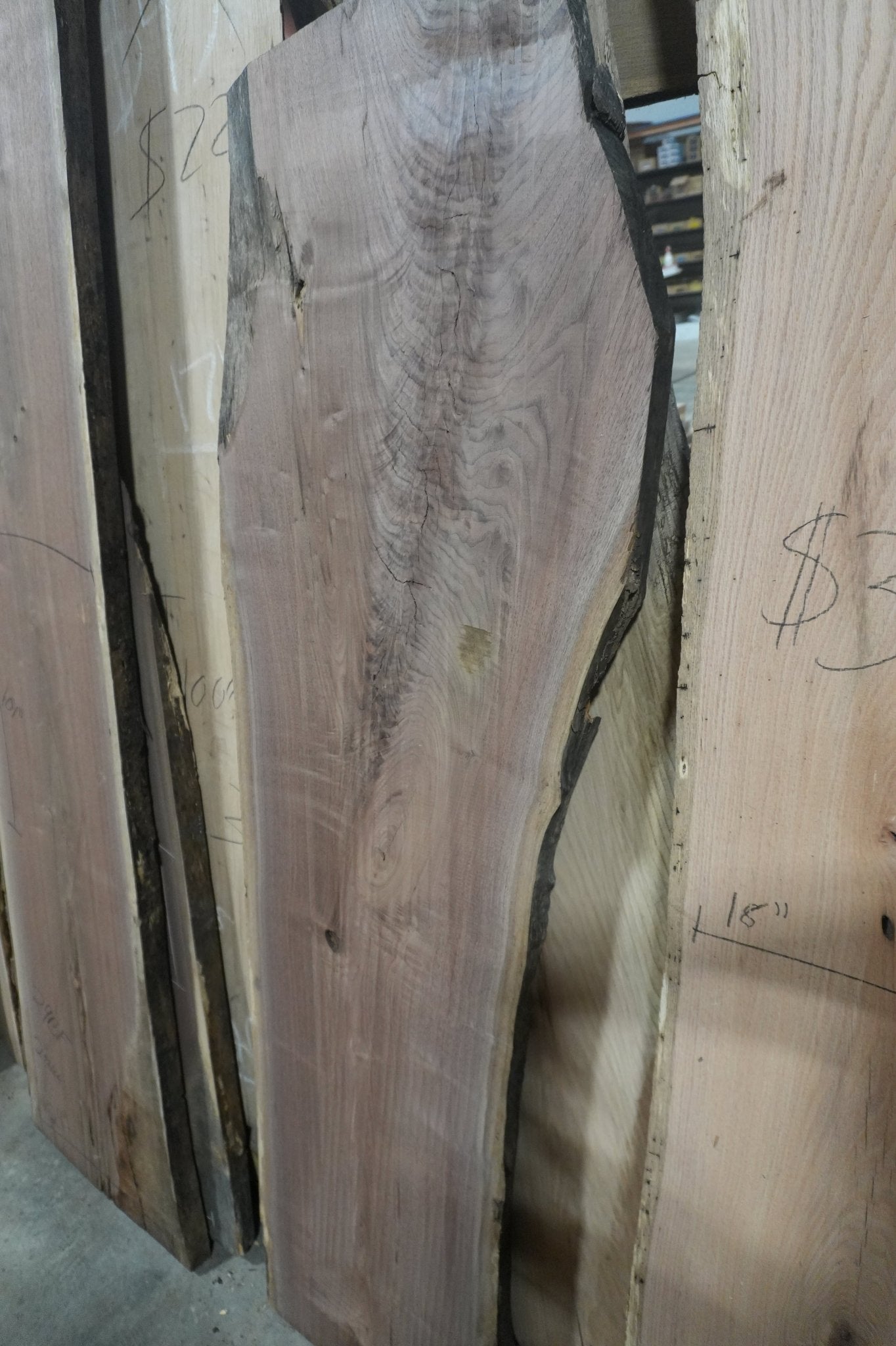 Walnut Slab - Ol Loggin Sawmill