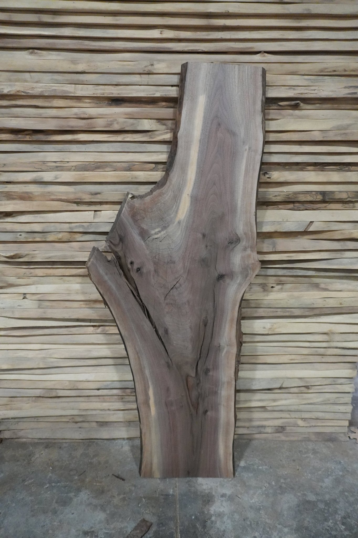 Walnut Slab - Ol Loggin Sawmill