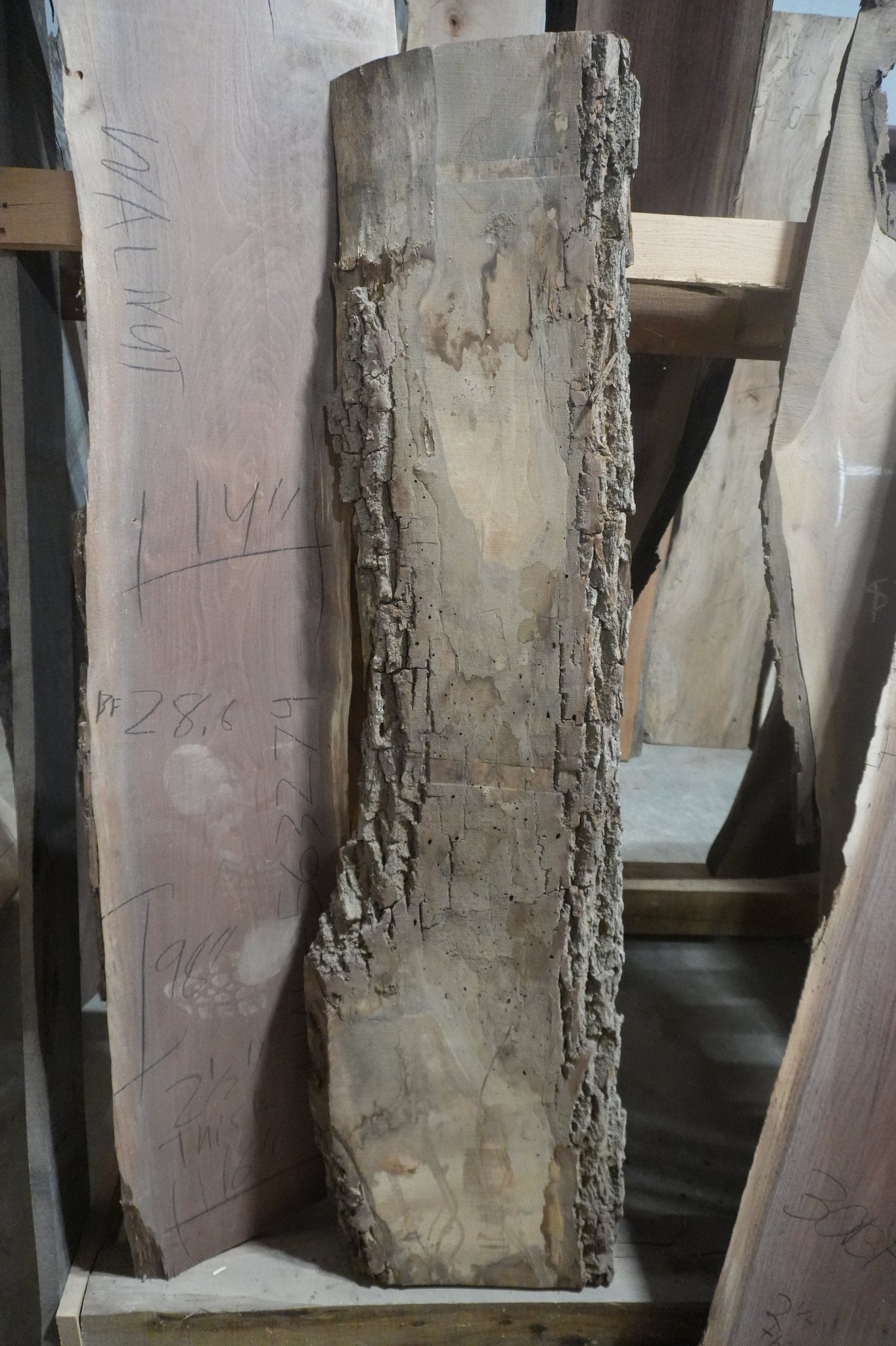 Walnut Slab - Ol Loggin Sawmill