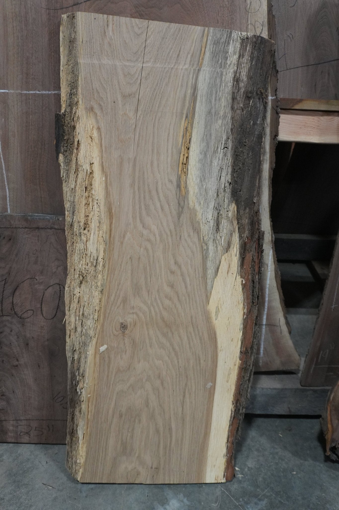 White Oak Slab - Ol Loggin Sawmill