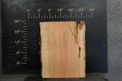 20 - " Cedar Wood Kit Live - Edge - Ol Loggin Sawmill