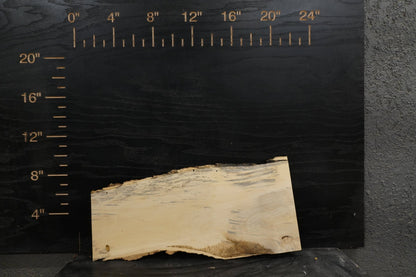 20' Flaming Boxelder Wood Kit Live - Edge - Ol Loggin Sawmill