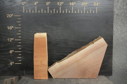 20 - " Mixed Wood Kit 2" Thick - Ol Loggin Sawmill