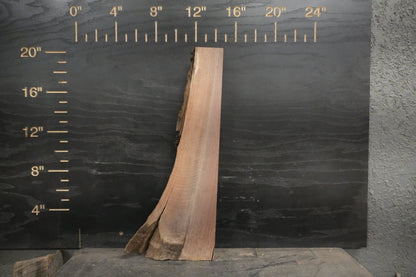20 - " Mixed Wood Kit 2" Thick - Ol Loggin Sawmill