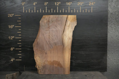 20 - " Mixed Wood Kit - Walnut, Cedar, Elm - Ol Loggin Sawmill