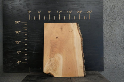 20 - " Walnut, Boxelder & Maple Wood Kit Live - Edge - Ol Loggin Sawmill