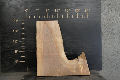 20 - " Walnut, Boxelder & Maple Wood Kit Live - Edge - Ol Loggin Sawmill