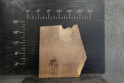 20 - " Walnut, Boxelder & Maple Wood Kit Live - Edge - Ol Loggin Sawmill